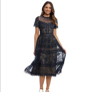 Camilla Tadashi Shoji Mid Length dress